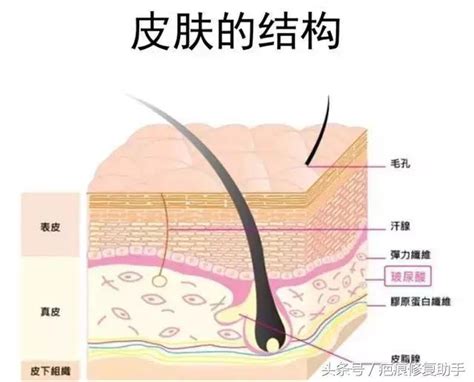 人中有疤|脸上这5种疤痕影响你的运势(图)